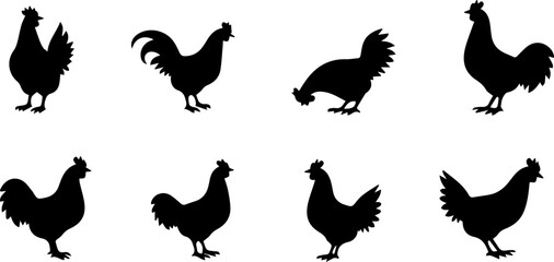 rooster chicken silhouette set illustration