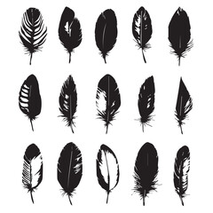 image of various bird feathers, set, black and white graphics, vector

