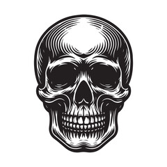 human skull vector illustration