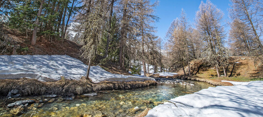 view of alpine river  crossing a forest in mountain with some snow in tarentaise valley in Savoie france Le Monal sainte Foy