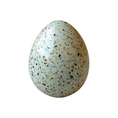 Light Blue Bird Egg isolated on transparent background