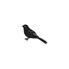 black and white bird drawing, vector, graphics, sketch
