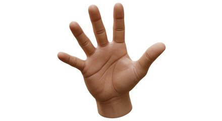 Isolated Open Hand