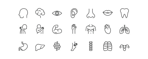 Set of icons for the Human Body. Editable stroke. Vector illustration