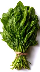 Fresh, vibrant bundle of spinach leaves tied with twine, ready to nourish