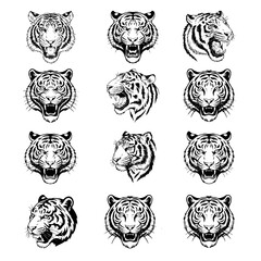 tiger head set, Tiger Roar Bundle, Tiger Face Bundle, a tiger head logo design - simple outlines Intricate Black and White Vector Illustration of a Majestic Tiger Head bundle A tiger face silhouette 