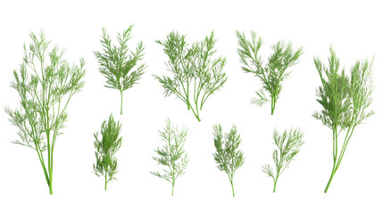 Obraz premium Fresh Dill Sprigs in Dynamic 3D Render Poses: Culinary Creativity and Vibrant Composition