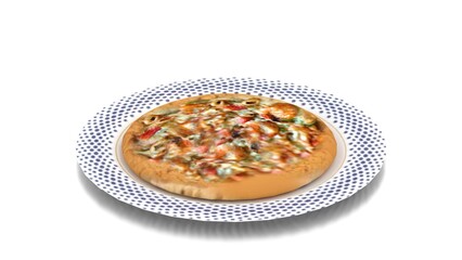 non veg pizza in plate