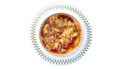onion pizza in plate