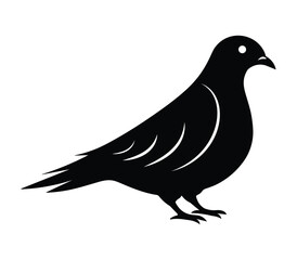 Fototapeta premium Pigeon bird silhouette illustration graphics design. 