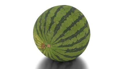 watermelon on a white background