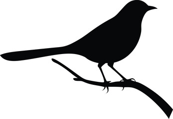 Obraz premium Bird Perched on a Branch Silhouette Design Element with Transparent Background