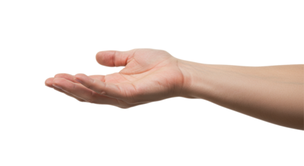 Isolated Open Palm Hand