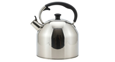 Isolated Stainless Steel Kettle