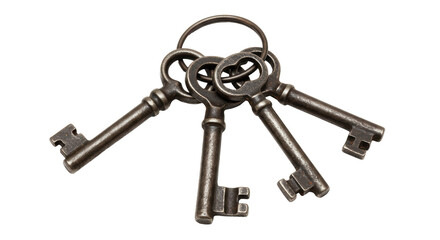 Isolated Antique Keys on Ring