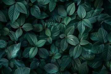 Small green leaves texture background with beautiful pattern. Clean environment