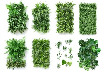 Assortment of various green plants arranged in rectangular shapes on a white background surface