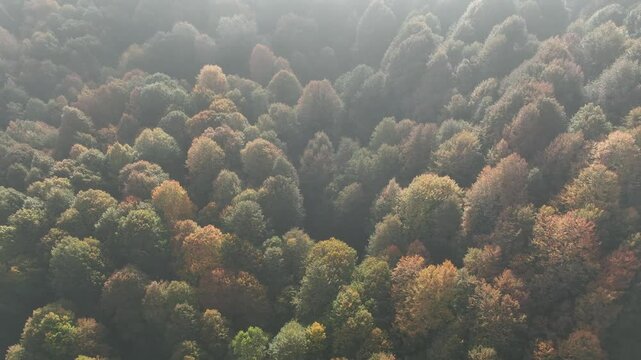 Romantic Autumn Season Suuctu Waterfall Park Drone Video, Mustafakemalpasa Bursa, Turkiye (Turkey)
