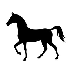 horse silhouette isolated on white