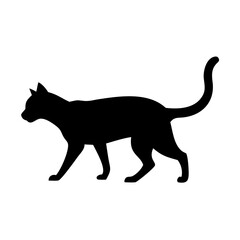 Fototapeta premium cat on a white background