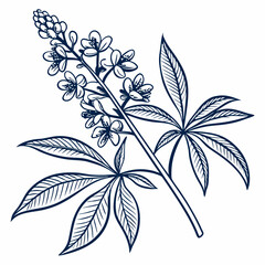 black and white flowers