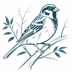 Wild robin silhouette, a vector illustration of a small bird on a spring tree branch