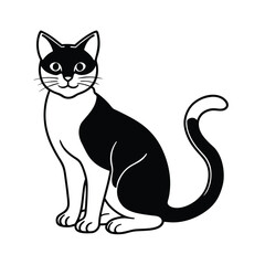 Obraz premium domestic cat on white background