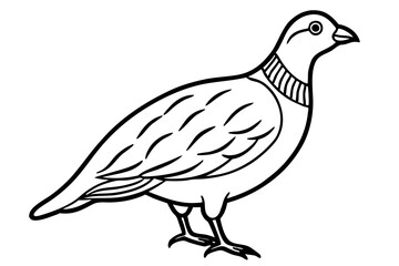 Fototapeta premium Quail Silhouette Line Art