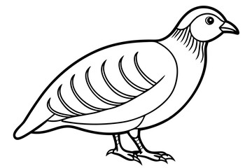 Quail Silhouette Line Art