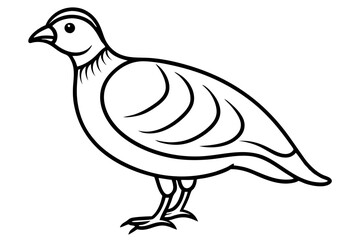 Quail Silhouette Line Art