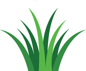 Simple grass illustration isolated on white background	