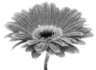 trendy Flower with retro photocopy stipple effect, for grunge punk y2k collage design. 