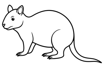 Quokka Minimal Line Drawing