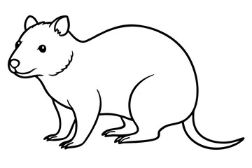 Obraz premium Quokka Minimal Line Drawing