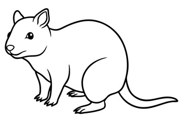 Quokka Minimal Line Drawing