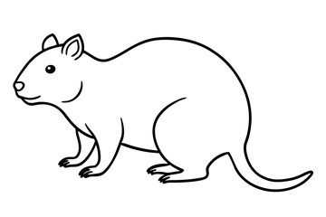 Quokka Minimal Line Drawing