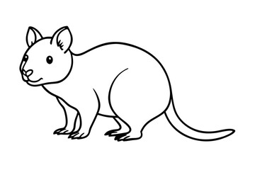 Quokka Minimal Line Drawing