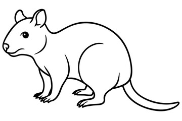 Quokka Minimal Line Drawing