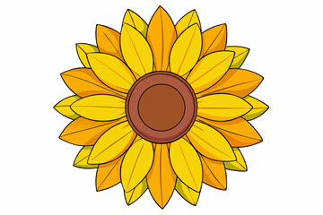 sunflower isolated on white background