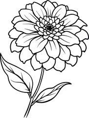 Fototapeta premium Bold Zinnia Line Art Vector 