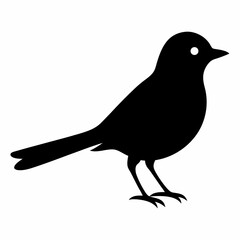 Fototapeta premium AI Generated Acadian Flycatcher Vector Silhouette Isolate White Background