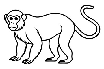 Stylized Proboscis Monkey Outline