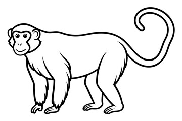 Stylized Proboscis Monkey Outline