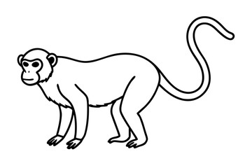 Stylized Proboscis Monkey Outline