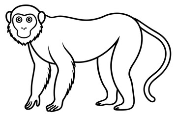 Stylized Proboscis Monkey Outline