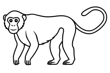 Stylized Proboscis Monkey Outline