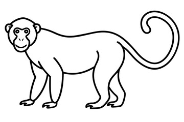 Stylized Proboscis Monkey Outline