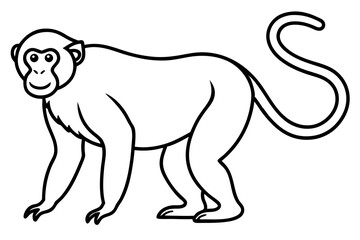 Stylized Proboscis Monkey Outline