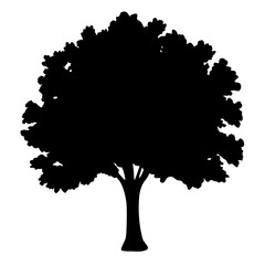 Silhouette of a Lush Tree with Dense Foliage on White Background