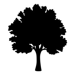 Silhouette of a solitary tree with a full crown against white background